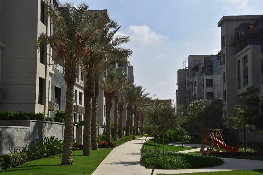 6 WhatsApp Image 2024-10-08 at 7.03. 55 PM. jpeg