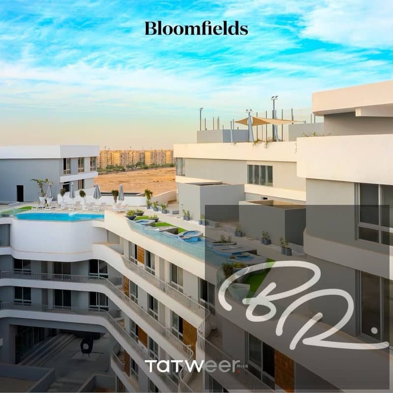 8 BLOOMFIELDS LIVE PICS_00004. jpg