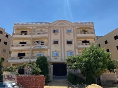 فلیٹ 3 غرف نوم للبيع في مدينة الشروق، القاهرة - صورة واتساب بتاريخ 1446-08-12 في 16.54. 41_3dff1d64. jpg