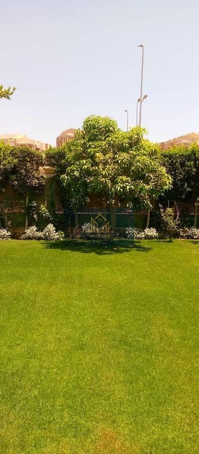 فلیٹ 3 غرف نوم للايجار في الشيخ زايد، الجيزة - 99b8904c-d5ae-456e-a791-ce23a4ec960f. jpg