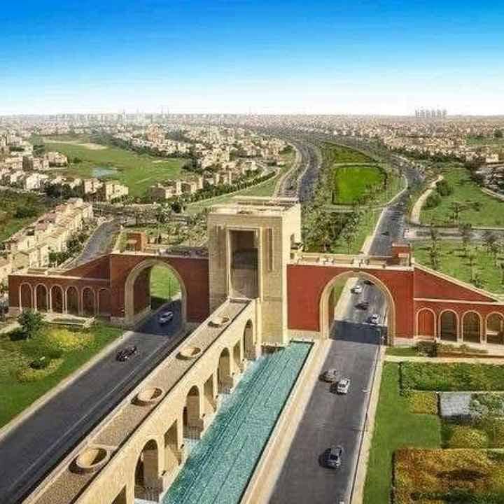 Amr Fayed Amr Fayed