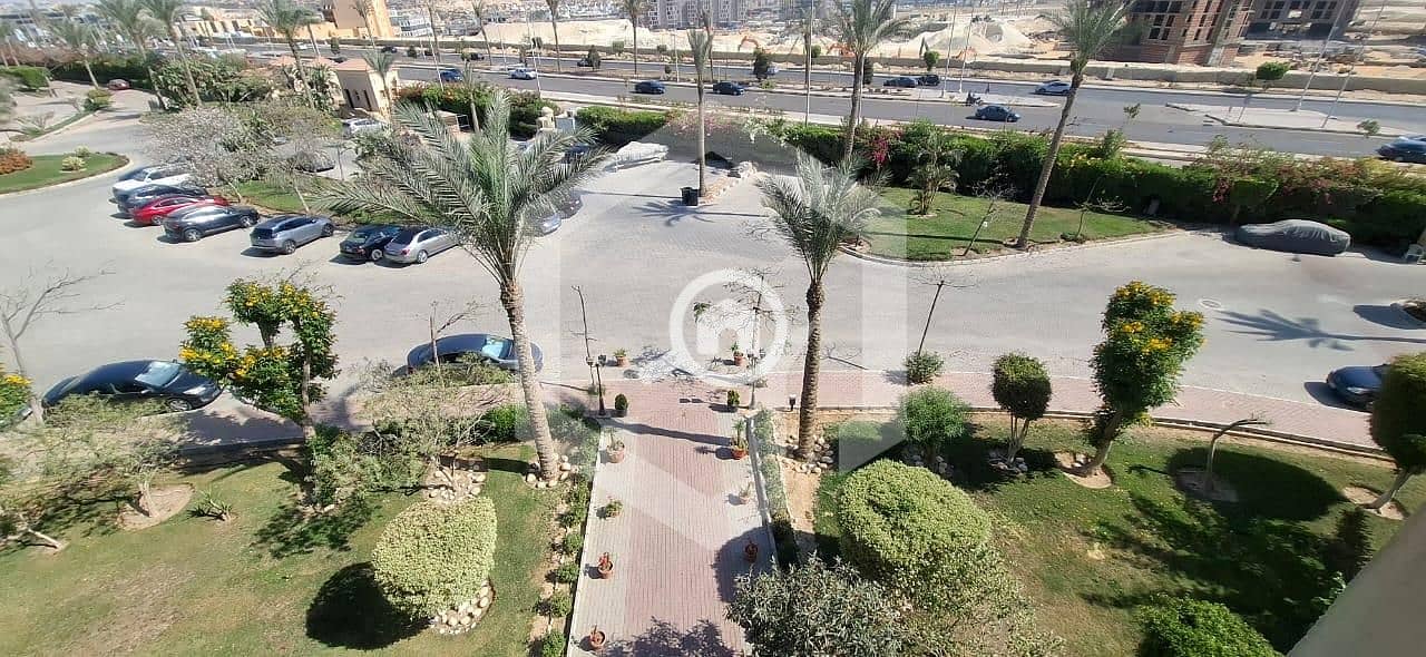 8 Zayed 2000 8. jpg