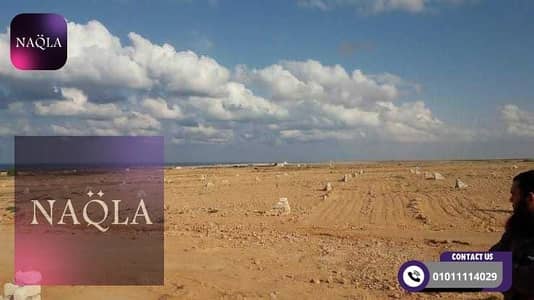 أرض تجارية  للبيع في العاشر من رمضان، الشرقية - land4. jpg