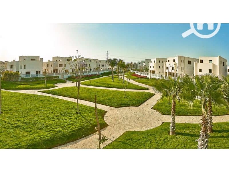4 cleopatra square compound. jpg