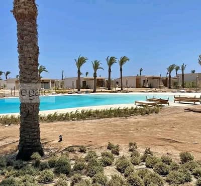 بنتهاوس 3 غرف نوم للبيع في سوما باى، البحر الأحمر - 487729300_1322634212125222_7556334125388478697_n. jpg