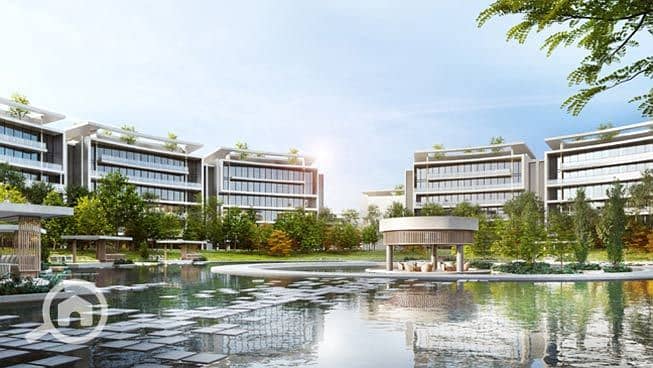 lakefront-01. jpg