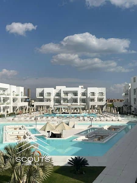 26 476604064_1328860118157381_3372037906340154446_n. jpg