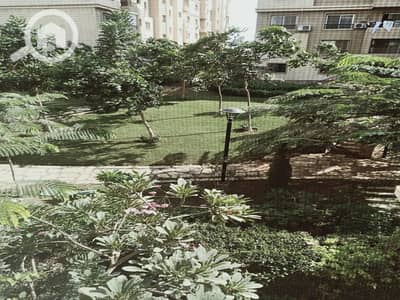 3 Bedroom Apartment for Rent in Madinaty, Cairo - 82b80611-5b0a-4848-b490-0ae521435667. jpg