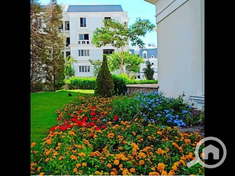 7 Life-in-mountain-view-hyde-park. jpg