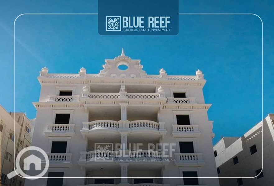 Bluereef  - Templete. psdsdfcv يبيب. jpg