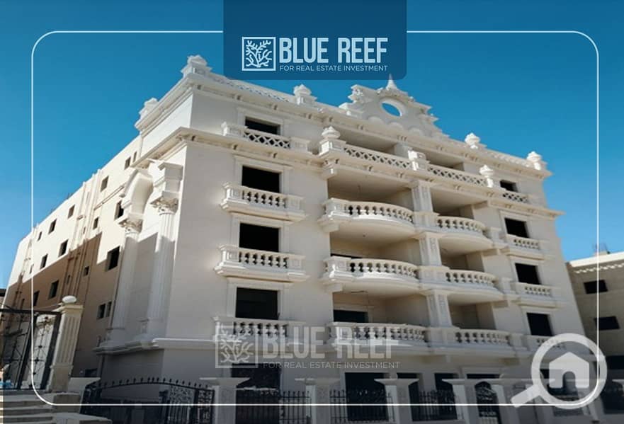 2 Bluereef  - Templete. psdsdfcv بببيشص. jpg