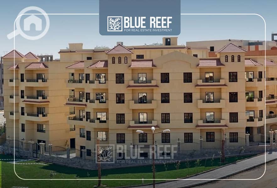 3 Bluereef  - Templete. psdsdfcv شس. jpg