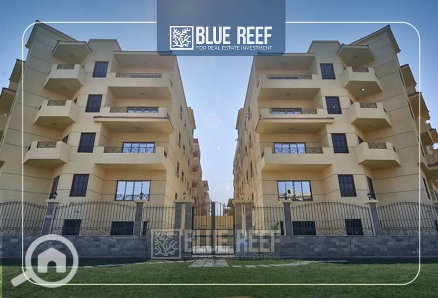 5 Bluereef  - Templete. psdsdfcv ش. jpg