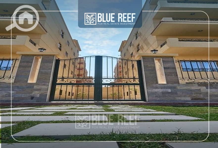 9 Bluereef  - Templete. psdsdfcv ئئ. jpg