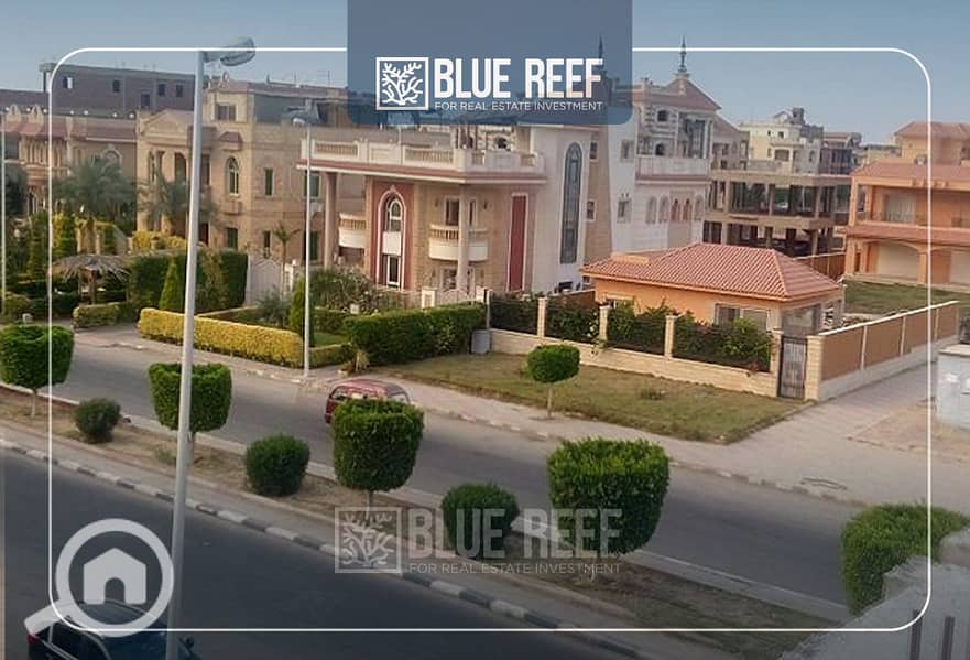10 Bluereef  - Templete. psdsdfcv تن. jpg