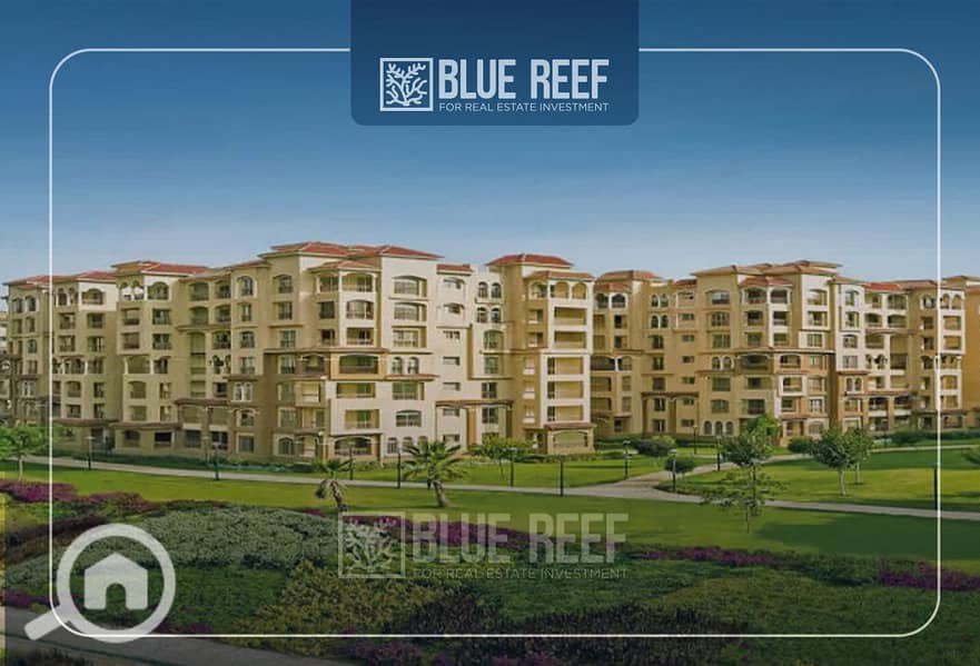 2 Bluereef  - Templete. psdsdfcv بببي. jpg