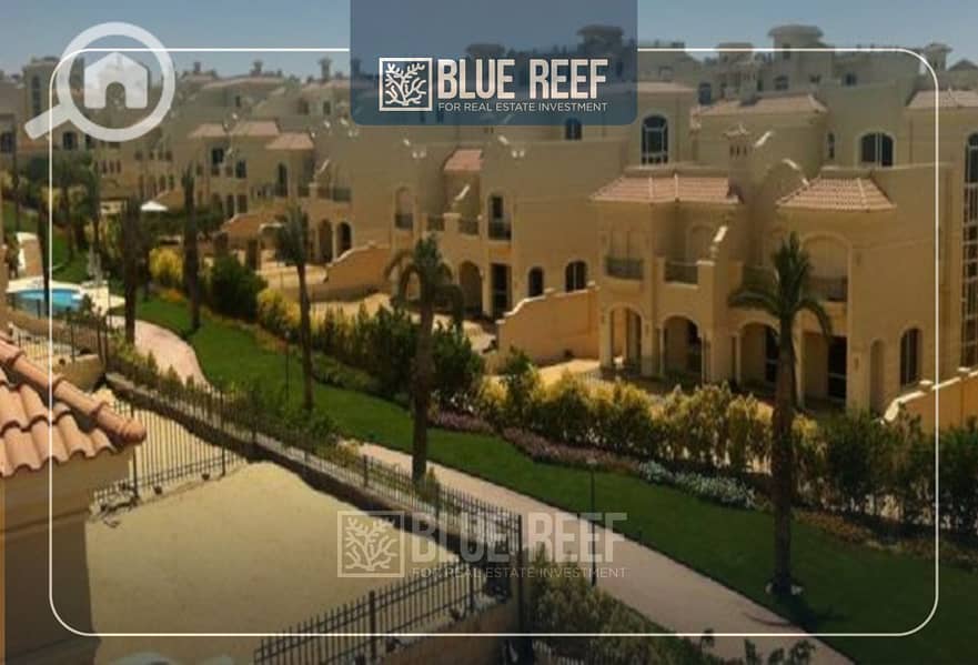 7 Bluereef  - Templete. psdsdfcv بب. jpg