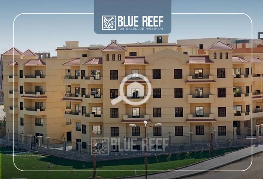 3 Bluereef  - Templete. psdsdfcv شس. jpg