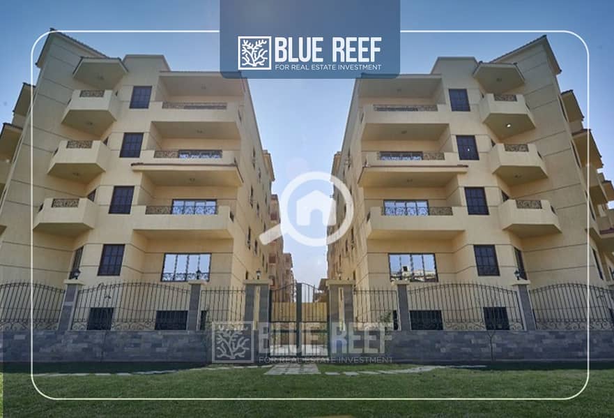 8 Bluereef  - Templete. psdsdfcv ش. jpg