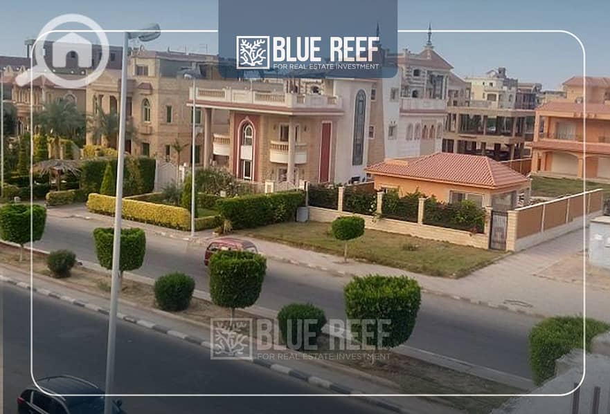 9 Bluereef  - Templete. psdsdfcv تن. jpg