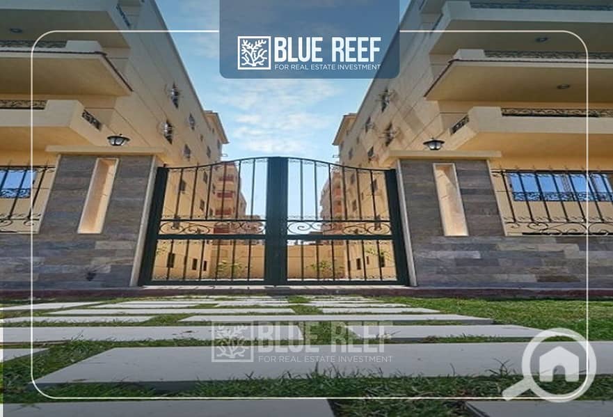 10 Bluereef  - Templete. psdsdfcv ئئ. jpg