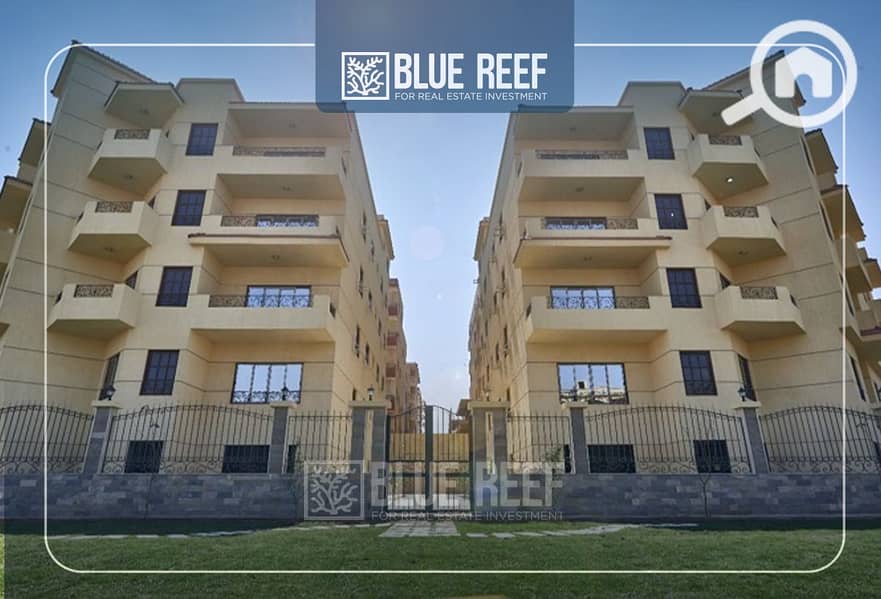 3 Bluereef  - Templete. psdsdfcv ش. jpg