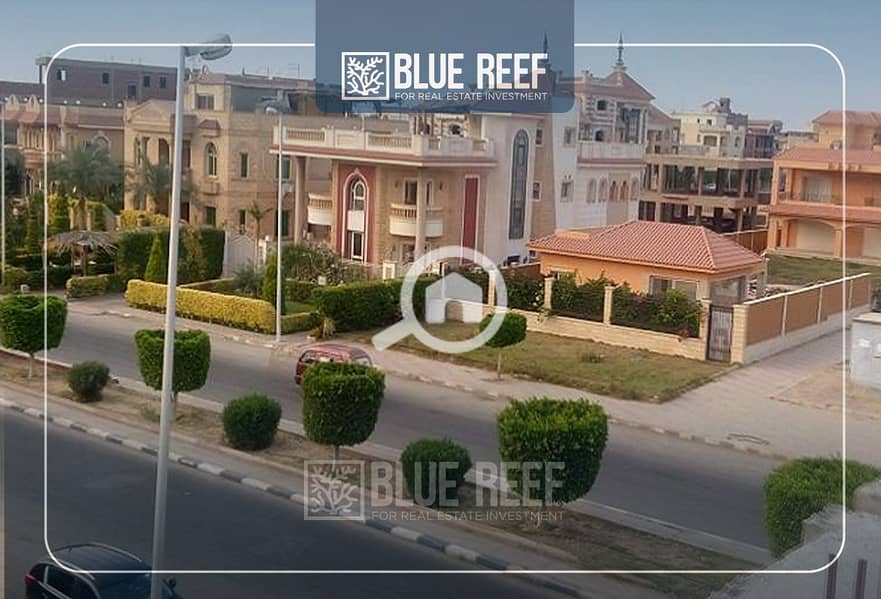 9 Bluereef  - Templete. psdsdfcv تن. jpg