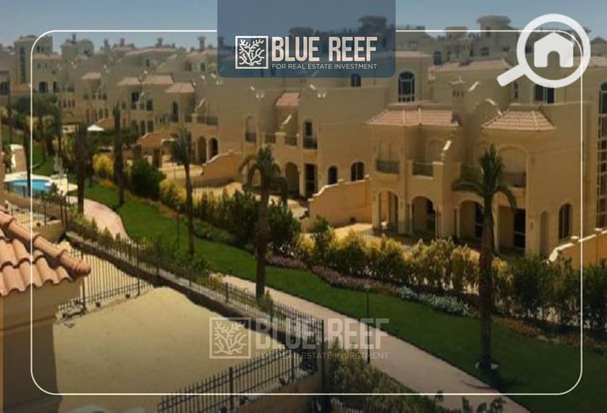 10 Bluereef  - Templete. psdsdfcv بب. jpg