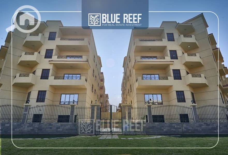 Bluereef  - Templete. psdsdfcv ش. jpg