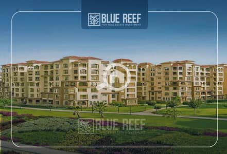 شقة 3 غرف نوم للبيع في مدينة الشروق، القاهرة - Bluereef  - Templete. psdsdfcv بببي. jpg