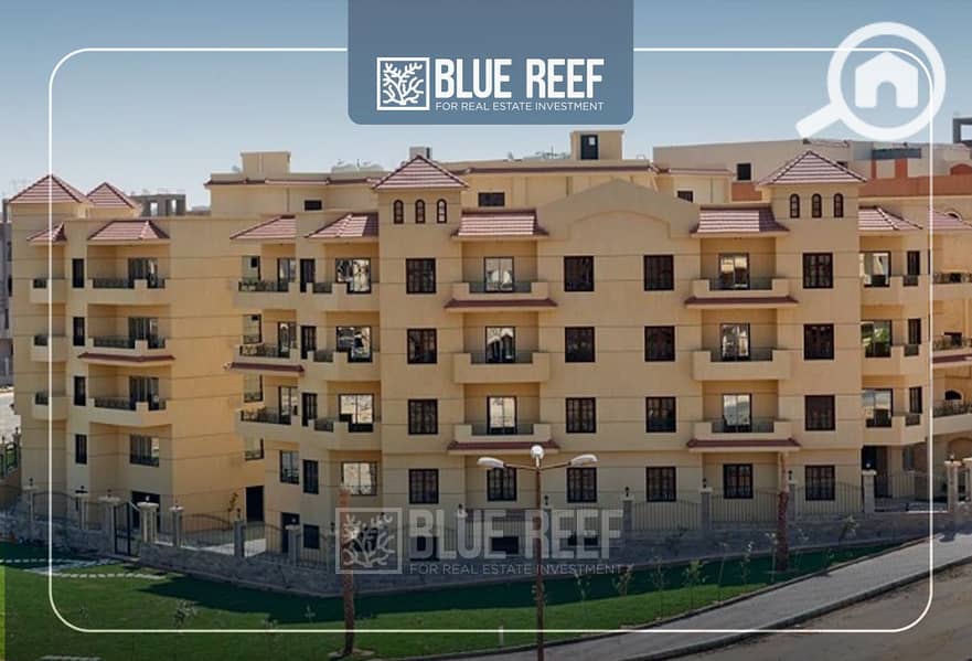 2 Bluereef  - Templete. psdsdfcv شس. jpg