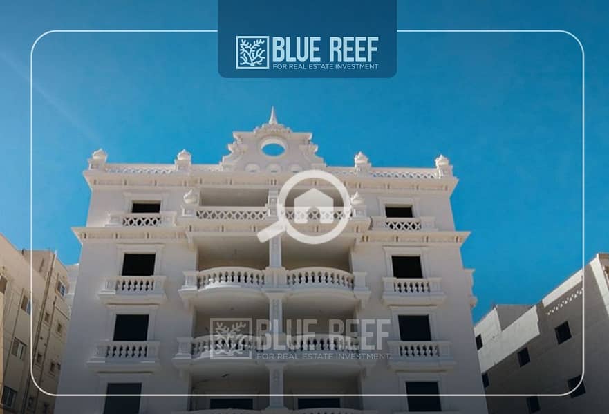 6 Bluereef  - Templete. psdsdfcv يبيب. jpg