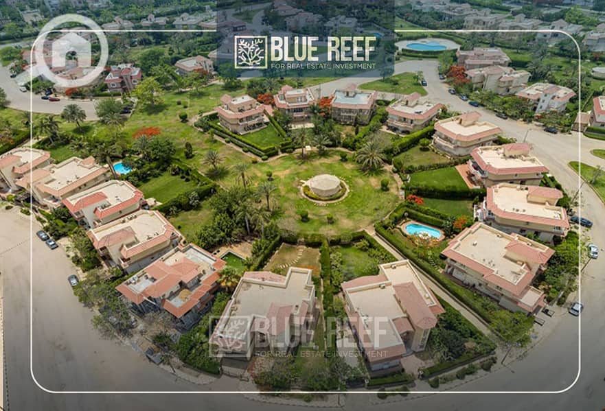 8 Bluereef  - Templete. psdsdfcv ووو. jpg