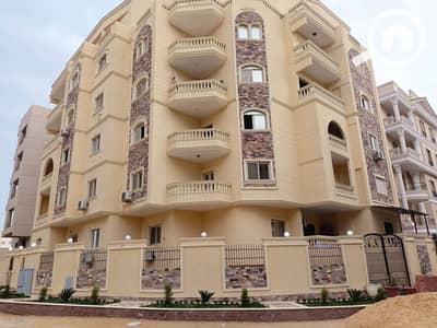 3 Bedroom Flat for Sale in New Cairo, Cairo - WhatsApp Image 2025-04-30 at 13.10. 43_696a0896. jpg