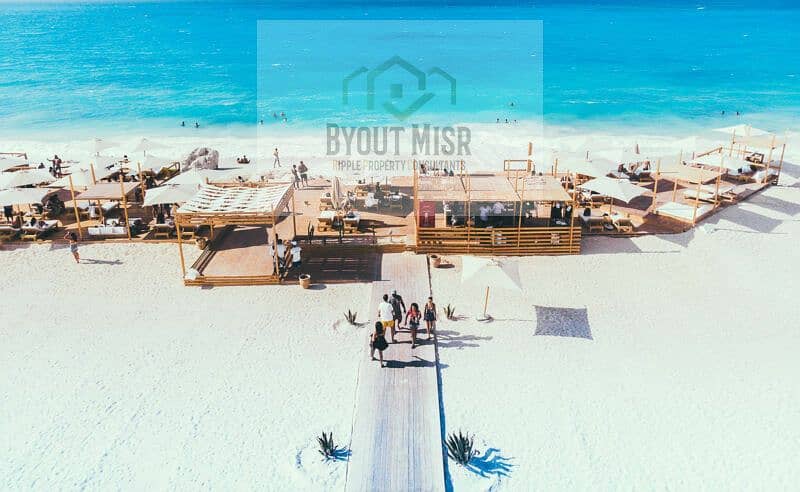 14 sea-shell-playa-2-800x492. jpg