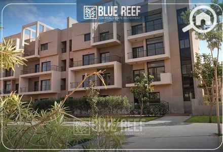 3 Bedroom Flat for Sale in New Cairo, Cairo - WhatsApp Image 2024-10-20 at 7.08. 23 PM (1). jpeg