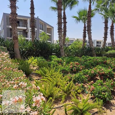 3 Bedroom Apartment for Sale in New Cairo, Cairo - WhatsApp Image 2023-11-21 at 15.26. 16_bfff2434 - Copy - Copy. jpg