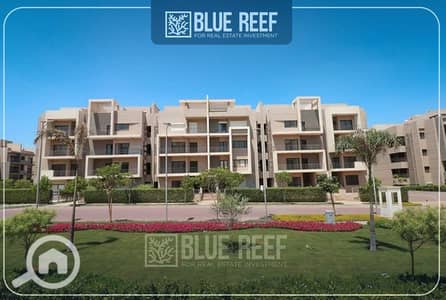 3 Bedroom Flat for Sale in New Cairo, Cairo - 26. jpg