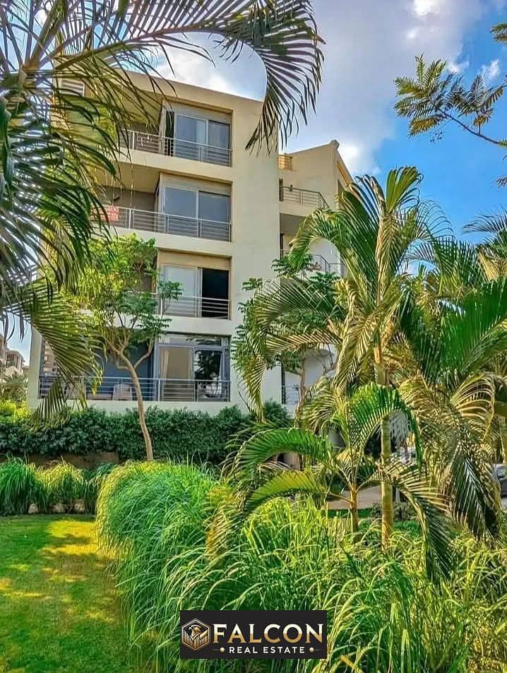 6 FB_IMG_1745932342520. jpg