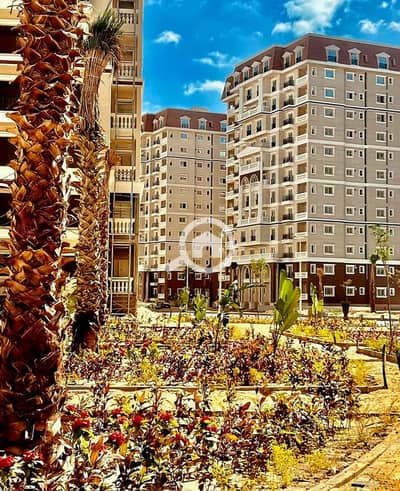 2 Bedroom Apartment for Sale in Moharam Bik, Alexandria - PHOTO-2025-04-02-14-43-22 4. jpeg