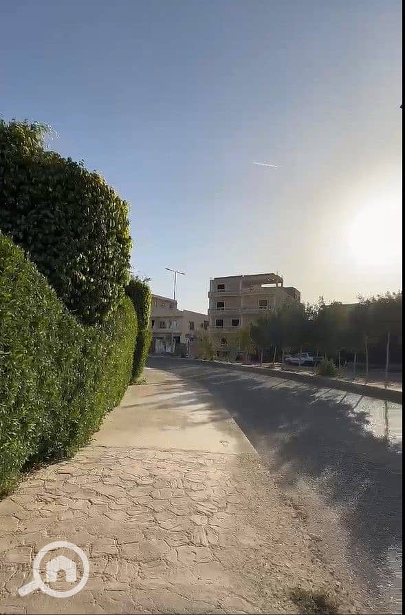 5 5. jpg