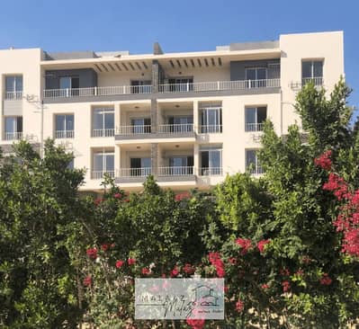 فلیٹ 3 غرف نوم للبيع في القاهرة الجديدة، القاهرة - 317e6b9bcf49e033cf6e84668bbadf66. jpg