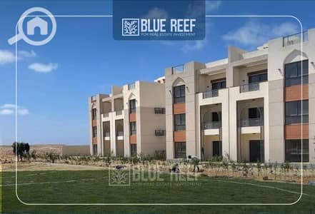 2 Bedroom Apartment for Sale in North Coast, Matruh - WhatsApp Image 2025-05-01 at 5.00. 16 PM. jpeg