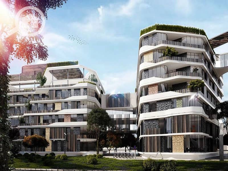 5 bloom fields project. jpg