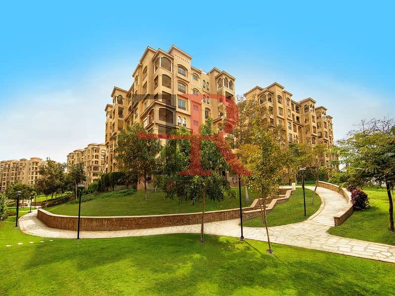 5 Madinaty Buildings_800x600. jpg