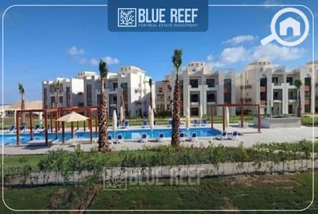 2 Bedroom Chalet for Sale in North Coast, Matruh - Bluereef  - Templete. psdsdfcv (1)-Recovered (1)-Recovered-Recovered-Recovered-Recovered-Recovered. jpg