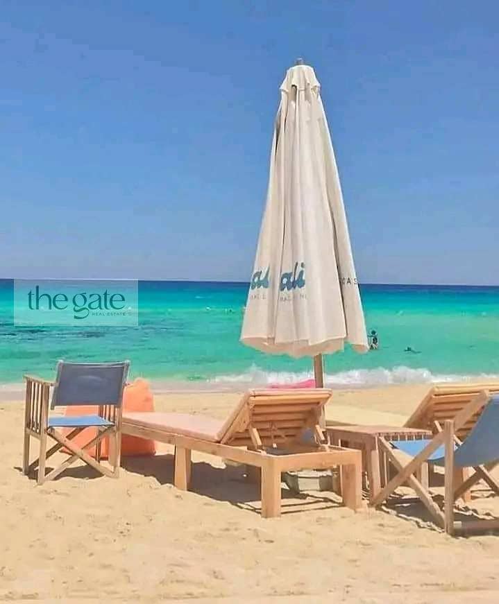 كالي4. jpg كالي4. jpg