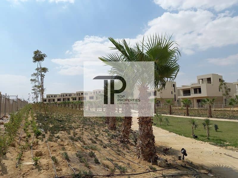 5 2021-10-30 (9). jpg