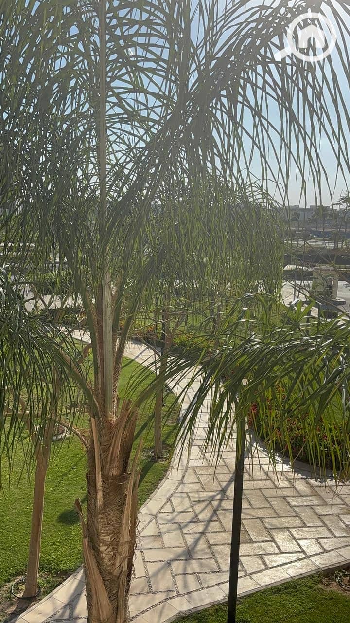12 WhatsApp Image 2025-04-30 at 1.14. 14 PM (1). jpeg