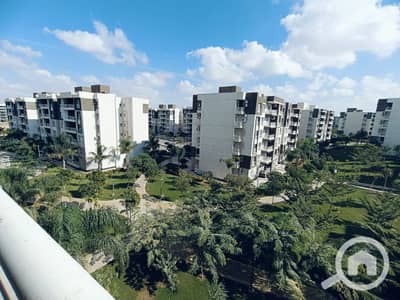 3 Bedroom Apartment for Rent in Madinaty, Cairo - WhatsApp Image 2025-04-29 at 11.59. 53 AM. jpeg